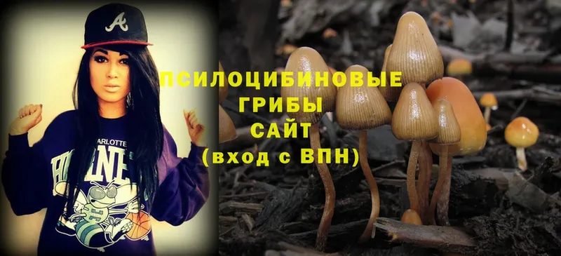 Псилоцибиновые грибы Psilocybe  гидра ссылка  Козьмодемьянск 